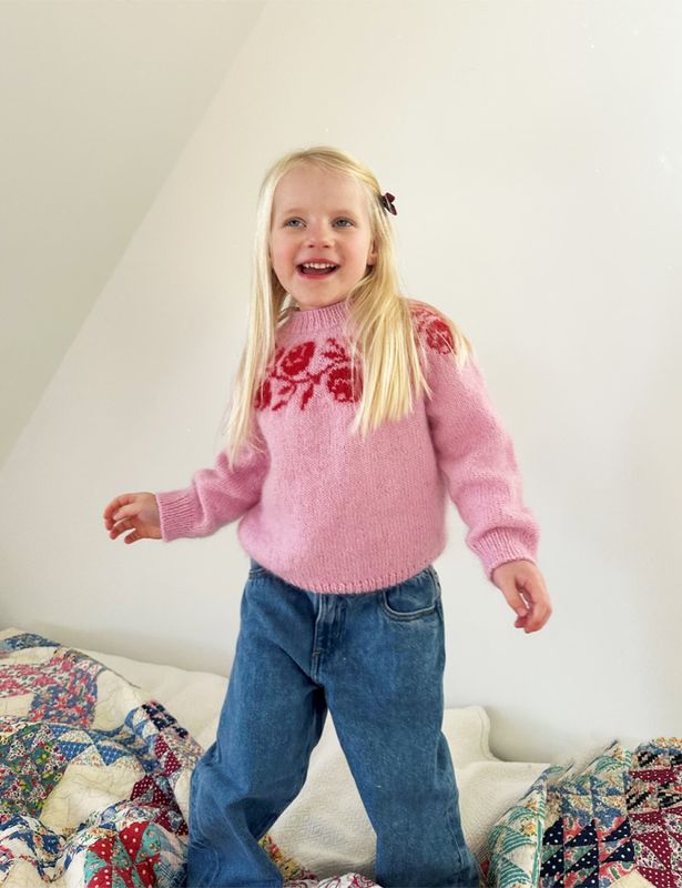 Rosie Yoke Sweater Junior 