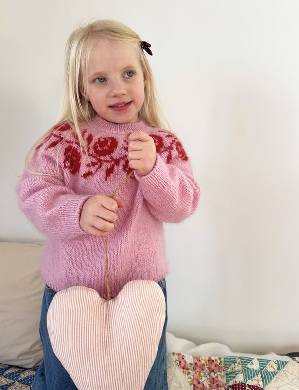 Rosie Yoke Sweater Junior 
