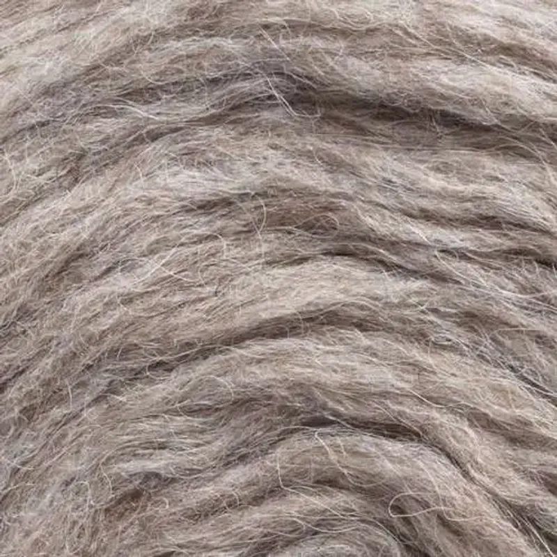 Plötulopi